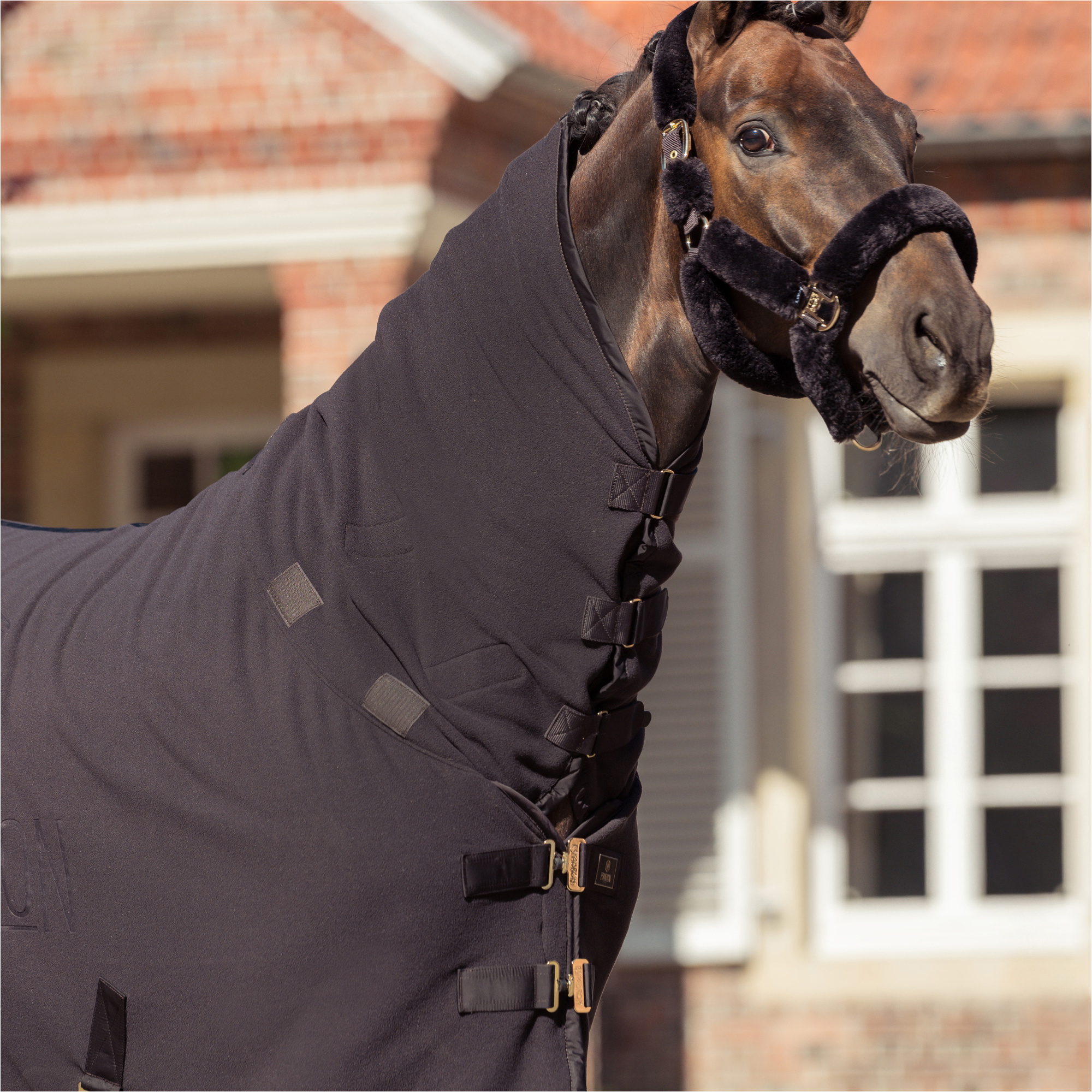2025 Eskadron Heritage Double-Fleece High Neck Rug 126158 277 090 - Black Truffle